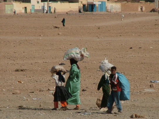 [ familia en desierto.gif ] (99967 bytes)